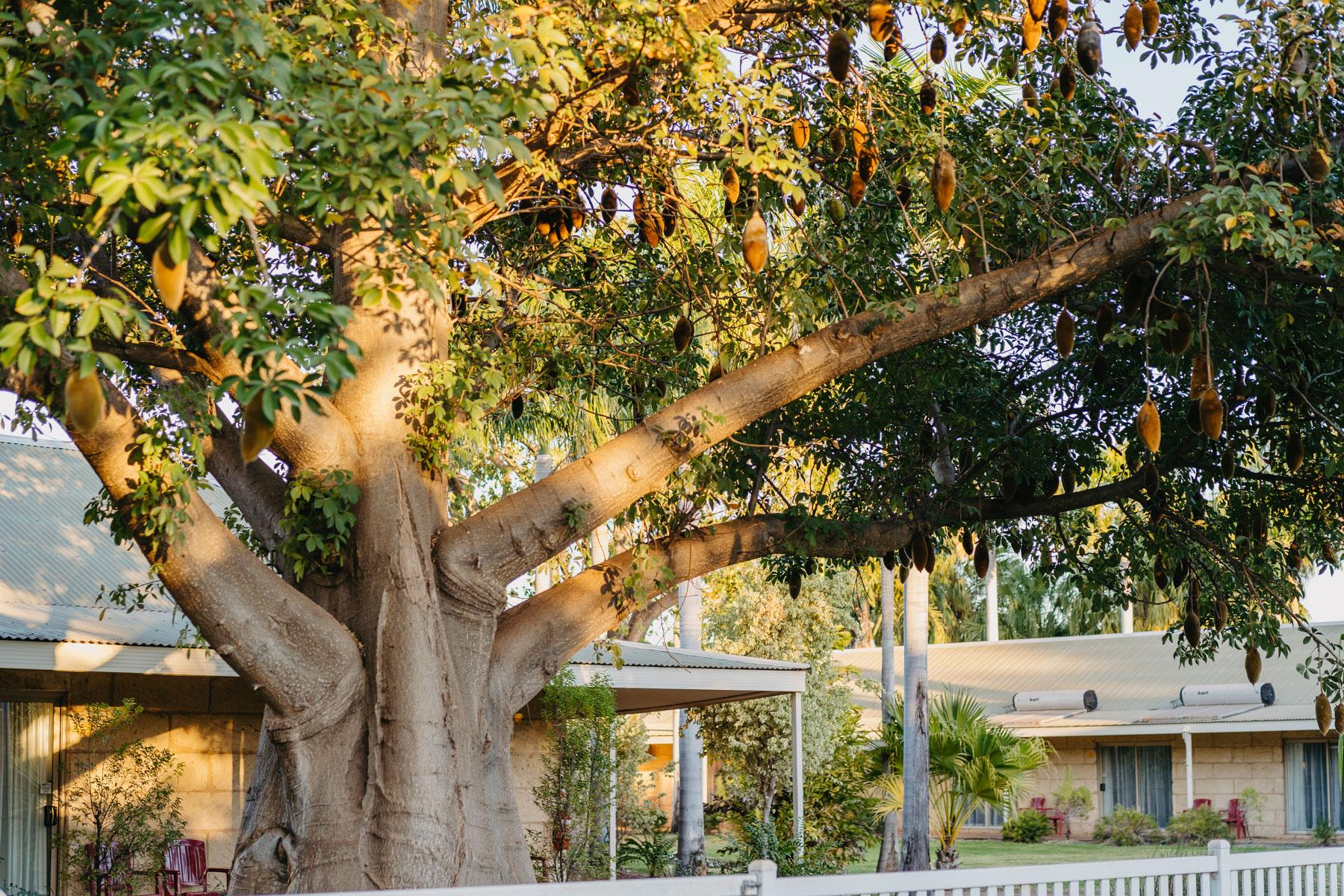 The Kimberley Grande Resort Kununurra Kültér fotó